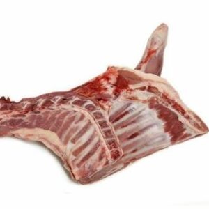 Forequarter