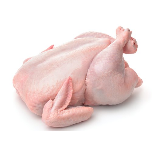 Buy Frozen Whole Chicken Wholesale Brazil | Frozen Whole Chicken for sale stores | Frozen Whole Chicken | Where to order Frozen Whole Chicken online